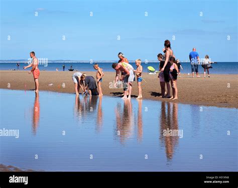 Image result for Tidal Pool Creatures
