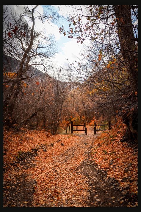 Fall, falls beautifully in Utah : r/natureporn