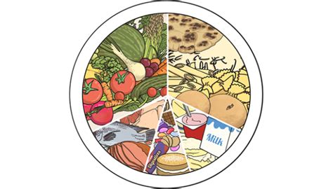 What are food groups? - Twinkl