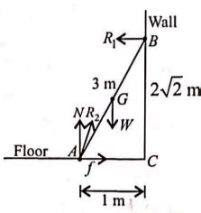 A uniform ladder 3 m long weighing 20 kg leans against a frictionless ...