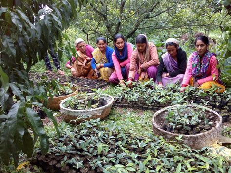 Help Environment in Local Communities 的图像结果