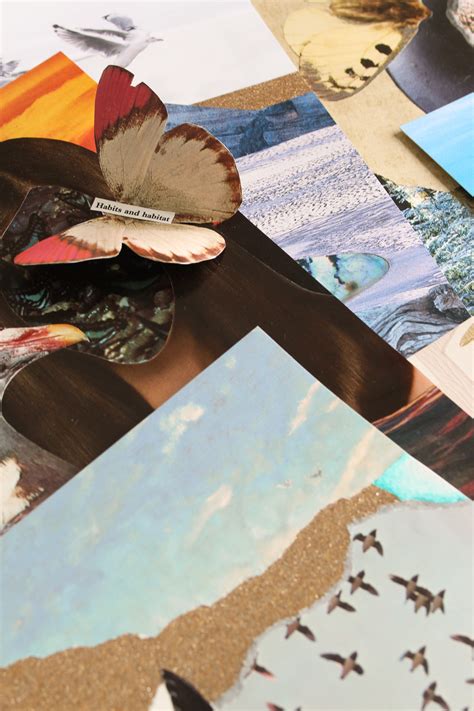 Image result for Simple Collage Examples