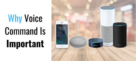 Image result for Voice Command Program