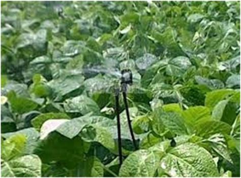 Micro Irrigation System