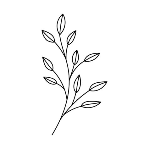 Skizze Zweige Handgezeichnete florale Elemente | Premium Vektor