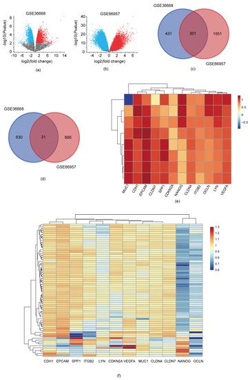 Diagnostics | Special Issue : Pathology and Diagnosis of Gynecologic ...