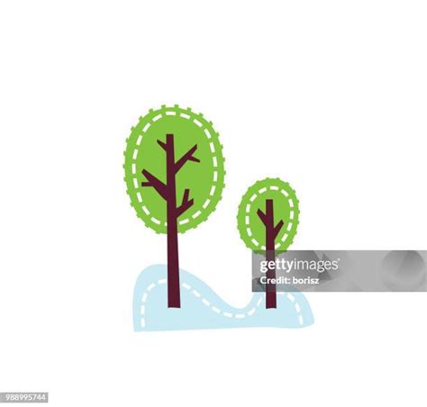 Image result for Maple Tree Sapling Drawing