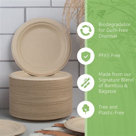 Eco-Friendly Disposable Bamboo Paper Plates | Ibambo