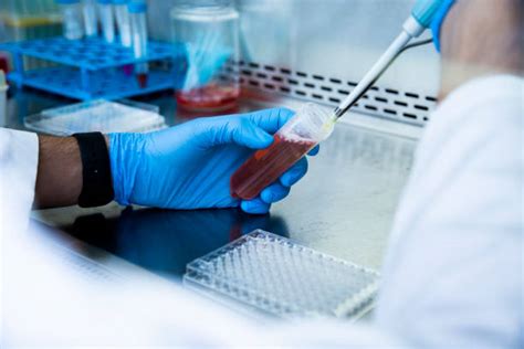 Cell 2D 的图像结果