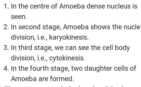 After examining a prepared slide under high power of a compound ...