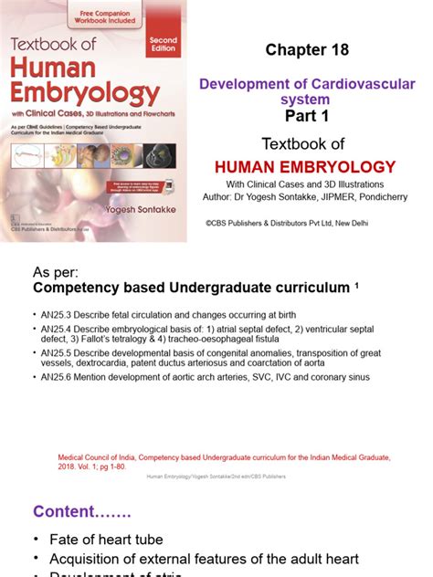 Image result for Heart Development PDF