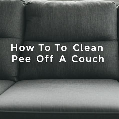 How To Clean Couch With Bissell Little Green — Be A Cleaner