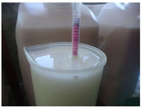 BALRAMA Lactometer - Check Water in Milk Purity Tester Testing ...