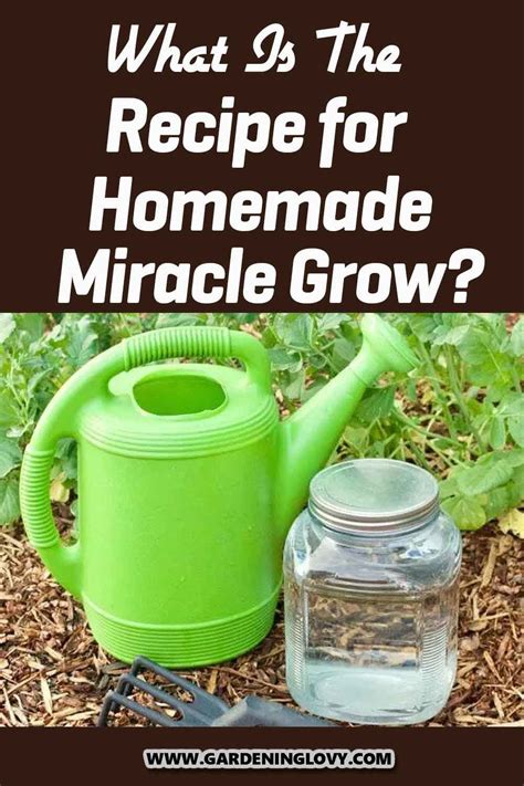 Image result for Krakey System Using Miracle Grow