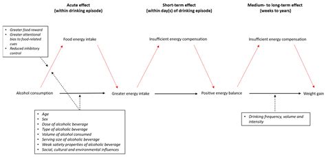 ‘Joining the Dots’: Individual, Sociocultural and Environmental Links ...