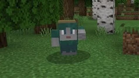 Image result for Rascal Drop Minecraft