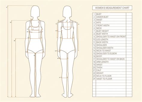 Silueta femenina con medidas corporales figura de mujer parte delantera y trasera tabla de ...