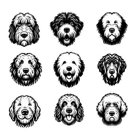 Collection of komondor dog face vector illustration komondor dog ...