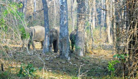 Top 28 Attractions in Kalpetta to Explore in 2026