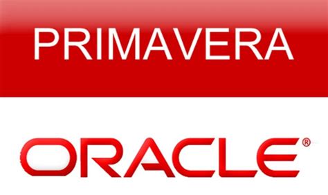 Image result for Oracle Primavera P6 Software Invoice