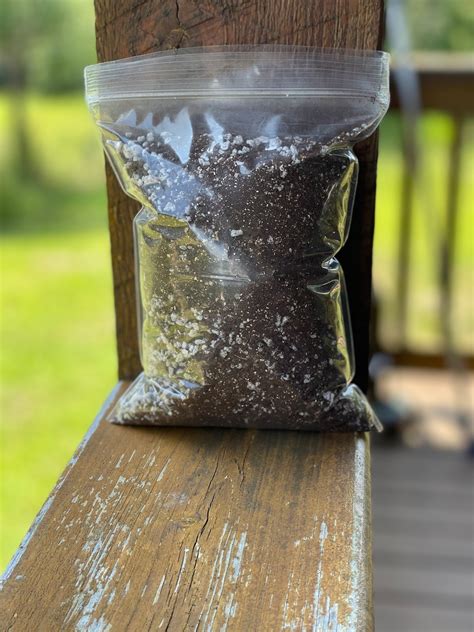 African Violet Potting Soil Mix 1 Quart Bag - Etsy