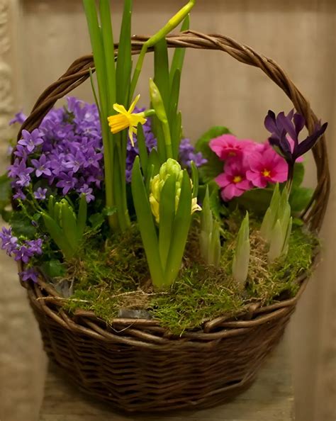 Image result for Spring Flower Baskets