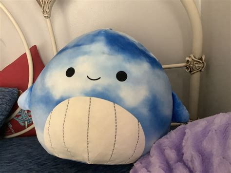 Squishmallow | Fiction Taxonomy Wiki | Fandom