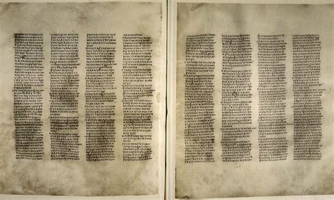 Image result for Codex Form