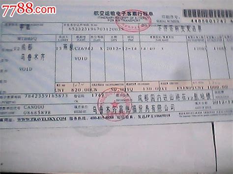国际机票电子客票行程单