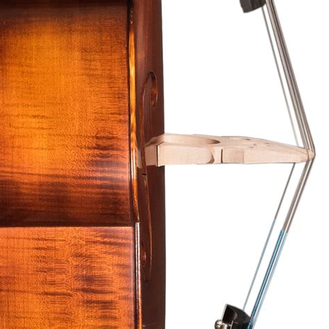 Image result for Gamba Tutorial