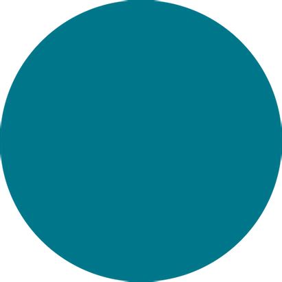 Image result for Circle Code in JSON Format