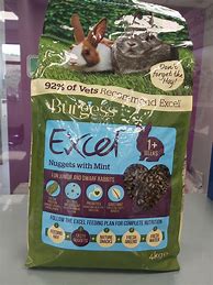 Image result for Bunny Food