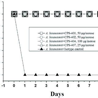 Image result for Intraperitoneal Injection Mice