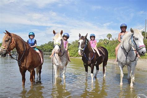 FLORIDA BEACH HORSES (2026) All You Need to Know BEFORE You Go (with ...