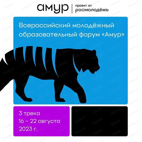 Всероссийский молодежный образовательный форум "Амур" в Хабаровске в ...