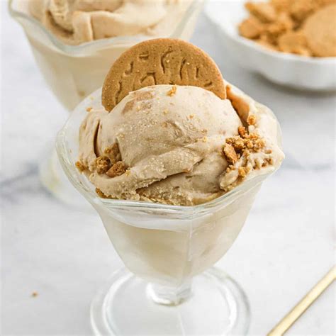 Butter Cookies Ice Cream at Luca Crowley blog