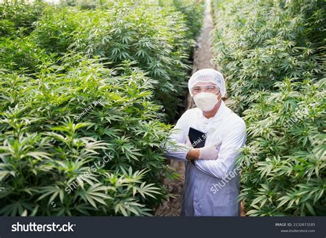 Plant Scientists Work On Agricultural Farm Stock Photo 2132673185 ...