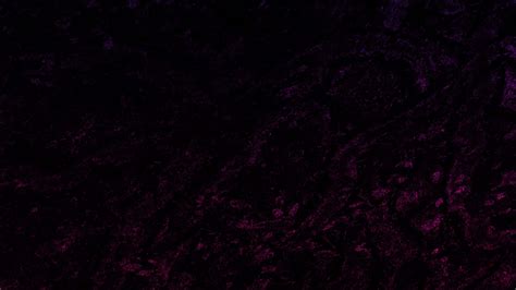 [100+] Purple And Black Backgrounds | Wallpapers.com