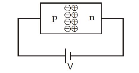 p-n junction diode under forward bias is shown below. Correct diagram ...