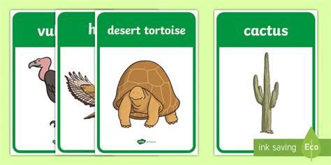 * NEW * Desert Habitat Posters
