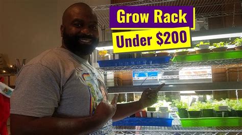 How To Build A Growing Rack For Seed Starting | Grow light stand, Seed ...