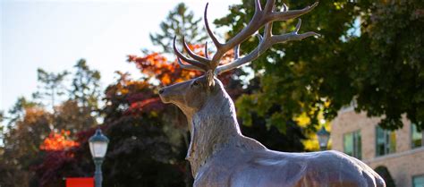 Core Curriculum | Fairfield University