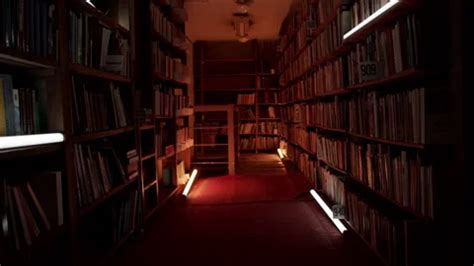 Image result for Library Flashes