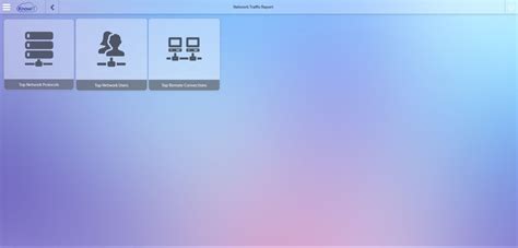 Check Network Traffic 的图像结果
