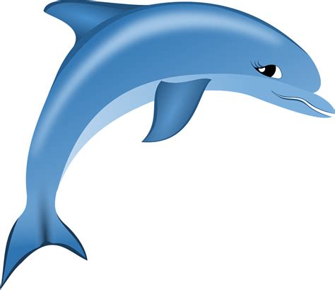 Free Dolphin Vector Art - Download 121+ Dolphin Icons & Graphics - Pixabay