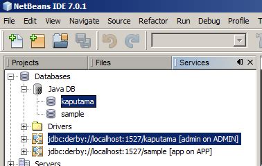 Image result for Java Database Derby