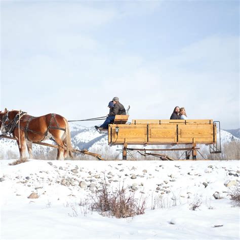 AJ DeRosa's Snake River Vintage Sleigh Rides (Wilson) - All You Need to ...