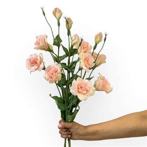 Lisianthus Soft Pink Artificial Flowers | Fabulous Flowers and Gifts