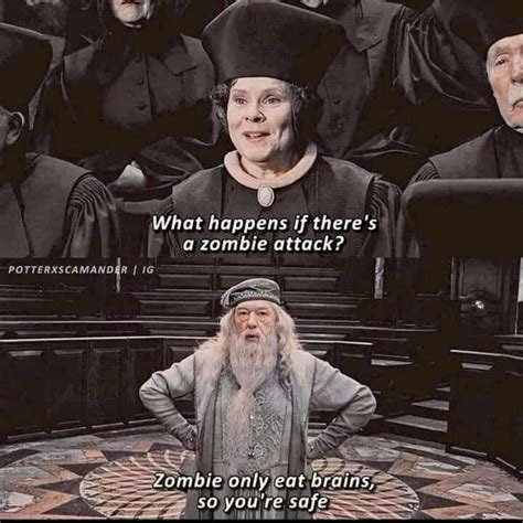 Funny Harry Potter Quotes