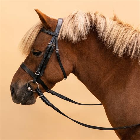Horse & Pony Riding Leather Bridle with French Noseband & Reins - 100 ...